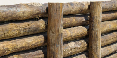 © www.pedroferraz.com