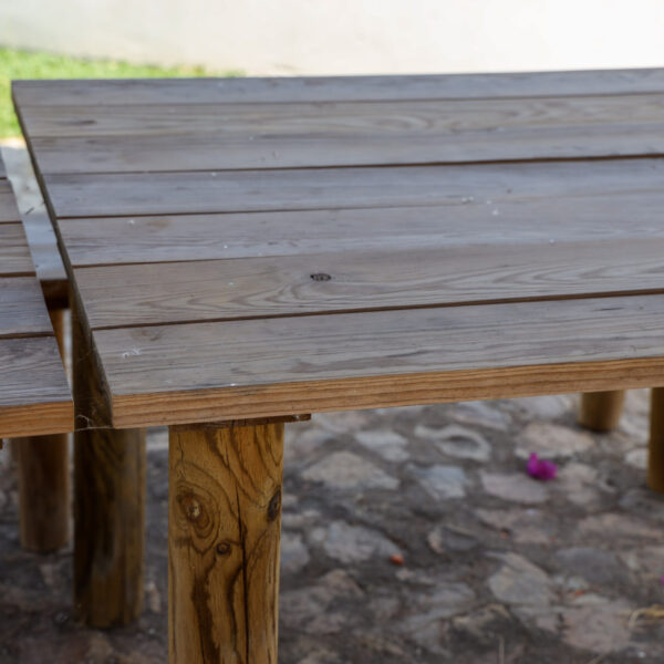 © www.pedroferraz.com