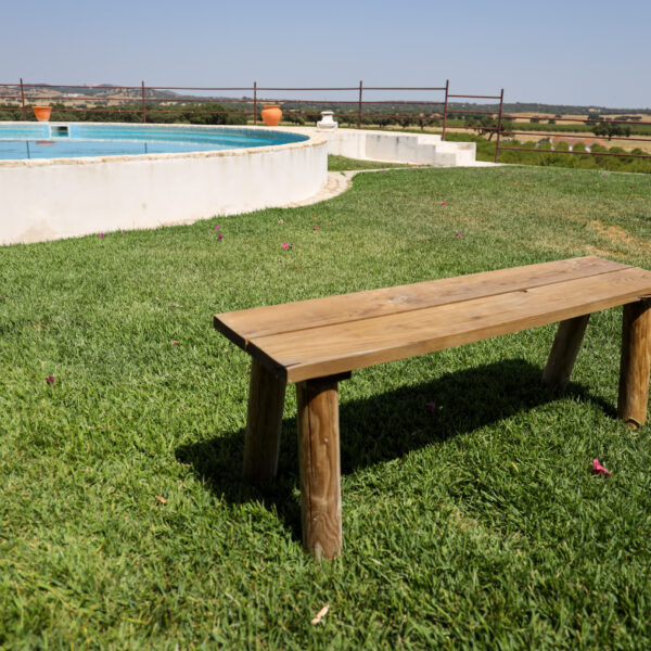 © www.pedroferraz.com