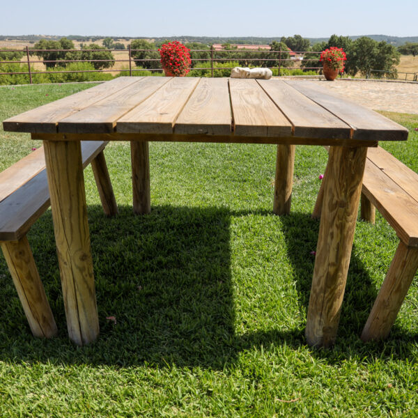 © www.pedroferraz.com