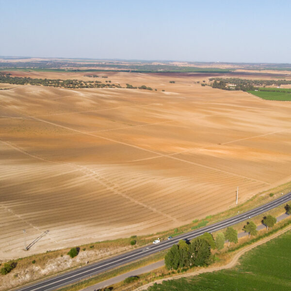 © www.pedroferraz.com