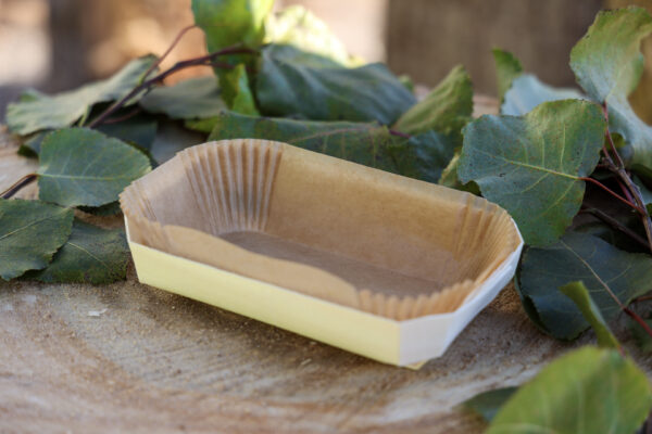 1-PFz_20211118_161439_AK4A3205