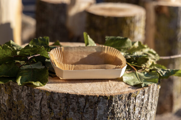 13-PFz_20211118_162242_AK4A3290