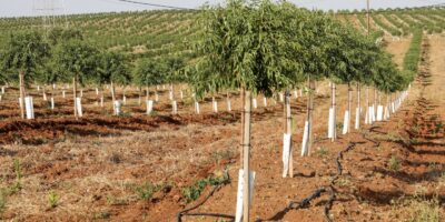 189-PFz_20200624_175207_AK4A9424