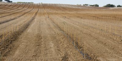 187-PFz_20200624_172122_AK4A9417