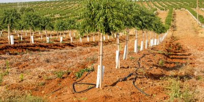 189-PFz_20200624_175207_AK4A9424