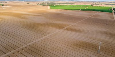 198-PFz_20200624_182542_DJI_0260