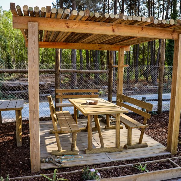 214-PFz_20200915_171346_AK4A9963