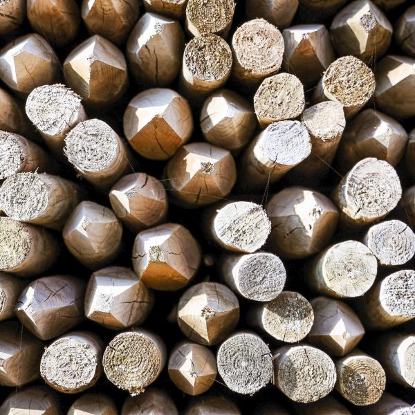 232-PFz_20200915_171812_AK4A9993