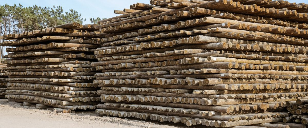 282-PFz_20200915_174412_AK4A0237