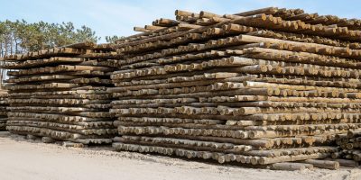 282-PFz_20200915_174412_AK4A0237