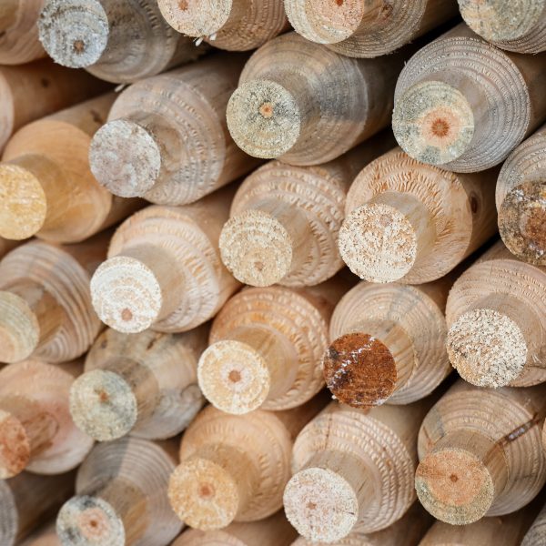 331-PFz_20200916_122206_AK4A0514