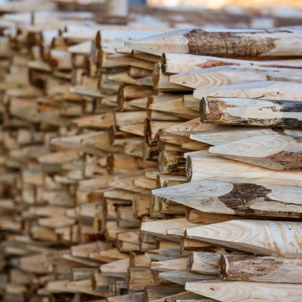 PFz_20200915_172521_AK4A0068